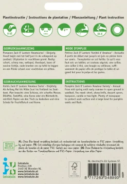 Hot Halloween Kürbis (Cucurbita pepo 'Jack O'Lantern') Samen Gemüsesamen|Saatgut