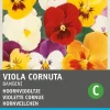 Sale Hornveilchen (Viola cornuta 'Bambini') Blumensamen-Mischung Saatgut|Blühende Pflanzen