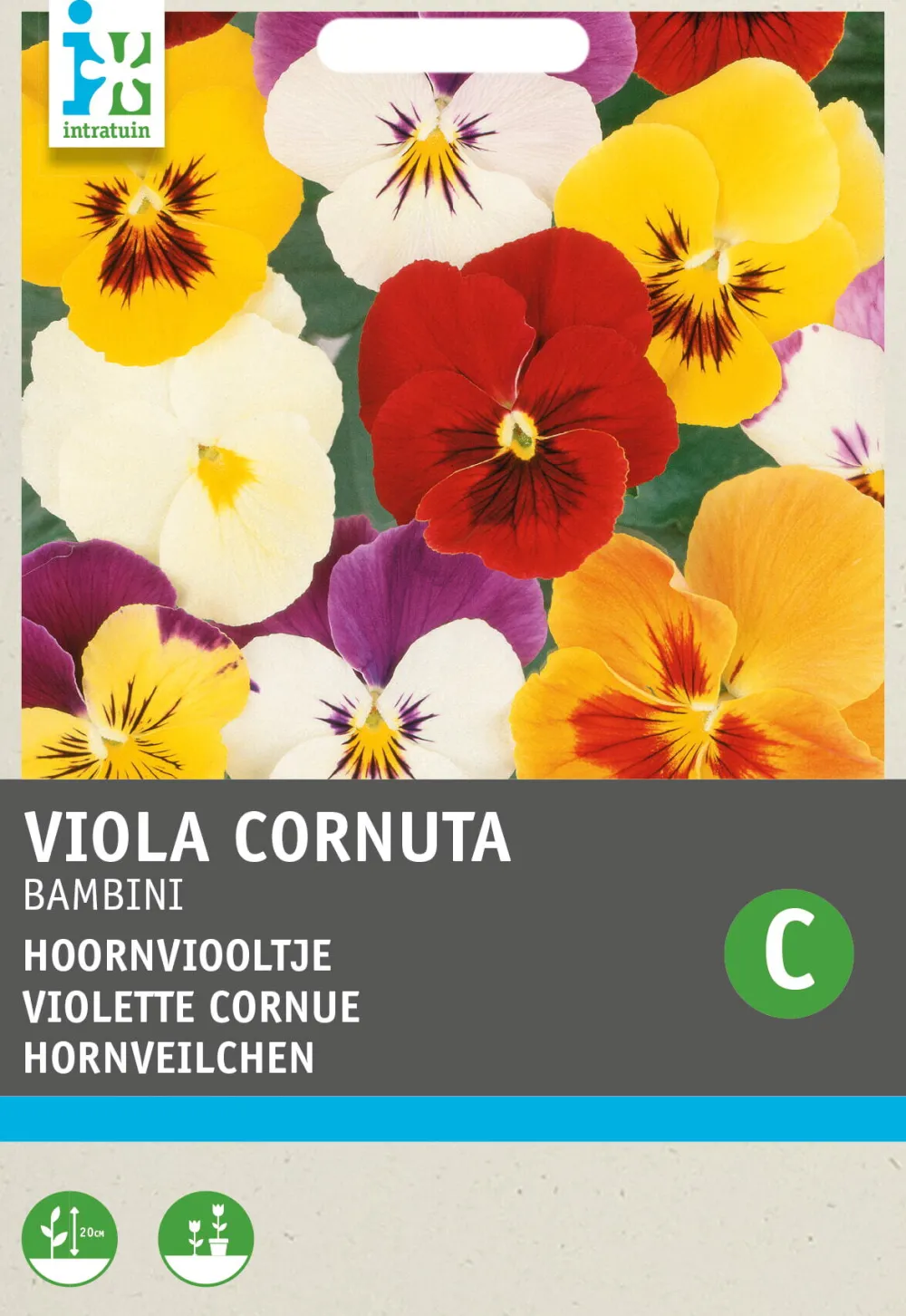 Sale Hornveilchen (Viola cornuta 'Bambini') Blumensamen-Mischung Saatgut|Blühende Pflanzen