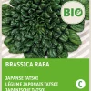 New Japanische Tatsoi (Brassica narinosa) (BIO) Samen Gemüsesamen|Saatgut
