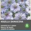 Best Jungfer im Grünen (Nigella damascena 'Miss Jekyll') Blumensamen Saatgut|Blühende Pflanzen
