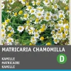 Clearance Kamille (Matricaria chamomilla) Samen Kräutersamen|Saatgut