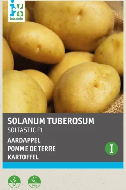 Kartoffel (Solanum tuberosum 'Soltastic F1') (BIO) Samen Gemüsesamen|Saatgut