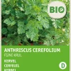 Best Kerbel fein (Anthriscus cerefolium) (BIO) Samen Kräutersamen|Saatgut