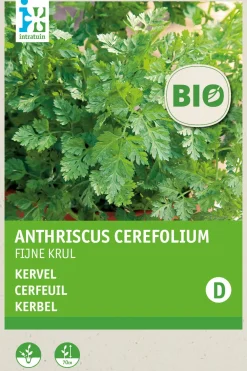 Best Kerbel fein (Anthriscus cerefolium) (BIO) Samen Kräutersamen|Saatgut