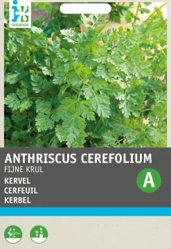 Discount Kerbel kraus (Anthriscus cerfolium 'Krauser') Samen Kräutersamen|Saatgut