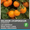 Online Kirschtomate gelb (Solanum lycopersicum 'Gourmandise') Samen Gemüsesamen|Saatgut