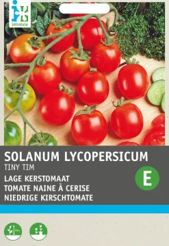 Clearance Kirschtomate (Solanum lycopersicum 'Tiny Tim') Samen Gemüsesamen|Saatgut