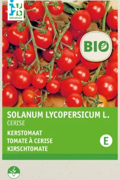 New Kirschtomate (Solanum lycopersicum 'Cerise') (BIO) Samen Gemüsesamen|Saatgut