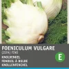 Sale Knollenfenchel (Foeniculum vulgare 'Zefa Fino') Samen Gemüsesamen|Saatgut