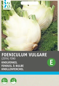 Sale Knollenfenchel (Foeniculum vulgare 'Zefa Fino') Samen Gemüsesamen|Saatgut