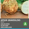 Knollensellerie (Apium graveolens 'Dolvi Prager Riese') Samen Gemüsesamen|Saatgut