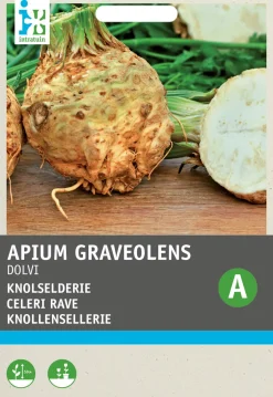 Knollensellerie (Apium graveolens 'Dolvi Prager Riese') Samen Gemüsesamen|Saatgut