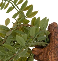 Online künstliche Hängepflanze Farn 25 x 12 x 85 cm Künstliche Hängepflanzen