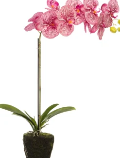 Online Künstliche Orchidee (Phalaenopsis) fuchsia D 14 H 38 cm Kunstpflanzen