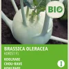 New Kohlrabi (Brassica oleracea 'Korist') (BIO) Samen Gemüsesamen|Saatgut