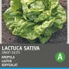Outlet Kopfsalat (Lactuca sativa 'Fürchtenichts') Samen Gemüsesamen|Saatgut