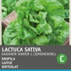 Discount Kopfsalat (Lactuca sativa 'Neckarriesen') Samen Gemüsesamen|Saatgut