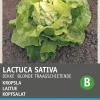 Discount Kopfsalat (Lactuca sativa 'Große Blonde Paresseuse') Samen Gemüsesamen|Saatgut