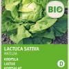 Outlet Kopfsalat (Lactuca sativa 'Hilde') (BIO) Samen Gemüsesamen|Saatgut