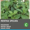 Hot Krause Minze (Mentha spicata) Samen Kräutersamen|Saatgut