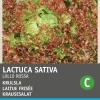 Sale Krauser Kopfsalat (Lactuca sativa 'Lollo Rossa') Samen Gemüsesamen|Saatgut