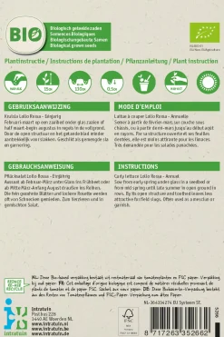 Discount Krauser Kopfsalat (Lactuca sativa 'Lollo Rosso') (BIO) Samen Gemüsesamen|Saatgut