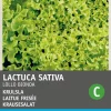 Clearance Krauser Kopfsalat (Lactuca sativa 'Lollo Bionda') Samen Gemüsesamen|Saatgut