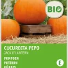 Outlet Kürbis (Cucurbita 'Jack O'Lantern') (BIO) Samen Gemüsesamen|Saatgut