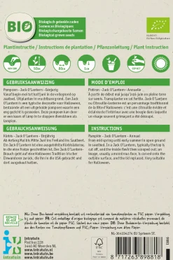 Outlet Kürbis (Cucurbita 'Jack O'Lantern') (BIO) Samen Gemüsesamen|Saatgut