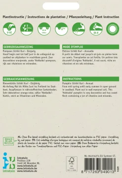 Best Kürbis (Cucurbita maxima 'Uchiki Kuri') Samen Gemüsesamen|Saatgut