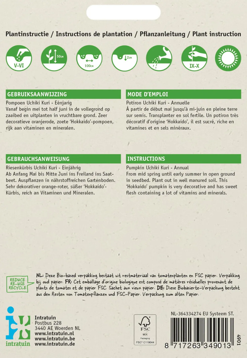 Best Kürbis (Cucurbita maxima 'Uchiki Kuri') Samen Gemüsesamen|Saatgut