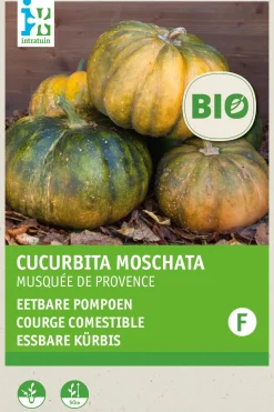 Clearance Kürbis essbar (Cucurbita moschata 'Musquee de Procence') (BIO) Samen Gemüsesamen|Saatgut