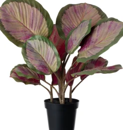 Discount Kunstpflanze Calathea 44 x 38 x 45 cm Kunstpflanzen