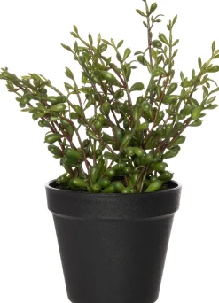 New Kunstpflanze Erbsenpflanze D 15 cm H 25 cm Kunstpflanzen