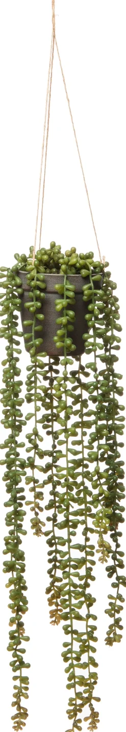 Discount Kunstpflanze hängend Erbsenpflanze 12 x 12 x 55 cm Künstliche Hängepflanzen