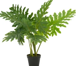 Sale Kunstpflanze Philodendron 'Xanadu' H 80 cm Kunstpflanzen