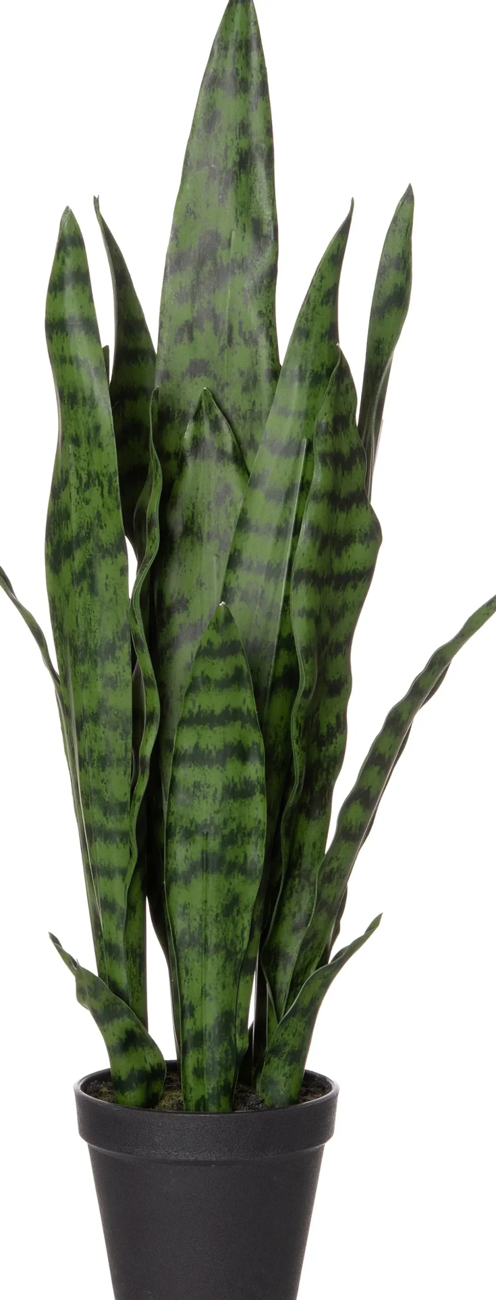 Best Kunstpflanze Sansevieria D 13 H 43 cm Kunstpflanzen