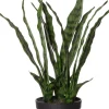 Online Kunstpflanze Sansevieria D 15 H 61 cm Kunstpflanzen