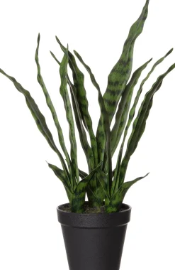 Online Kunstpflanze Sansevieria D 15 H 61 cm Kunstpflanzen