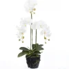 Sale Kunstpflanze Schmetteringsorchidee weiß 36 x 28 x 85 cm Kunstpflanzen