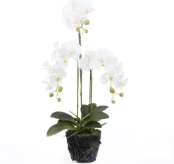 Sale Kunstpflanze Schmetteringsorchidee weiß 36 x 28 x 85 cm Kunstpflanzen