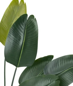 Hot Kunstpflanze Strelitzie grün D 80 H 180 cm Kunstpflanzen