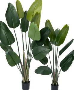 Hot Kunstpflanze Strelitzie grün D 80 H 180 cm Kunstpflanzen