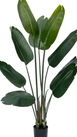 Clearance Kunstpflanze Strelitzie grün D 80 H 140 cm Kunstpflanzen