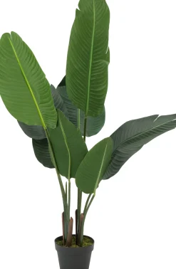 Hot Kunstpflanze Strelitzie H 120 cm Kunstpflanzen