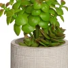 Clearance Kunstpflanze Sukkulente grau D 9,5 cm H 23 cm Kunstpflanzen