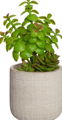 Clearance Kunstpflanze Sukkulente grau D 9,5 cm H 23 cm Kunstpflanzen