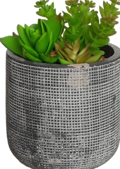 New Kunstpflanze Sukkulente grau D 9,5 cm H 16 cm Kunstpflanzen