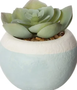 Kunstpflanze Sukkulente D 6 cm H 9 cm Kunstpflanzen